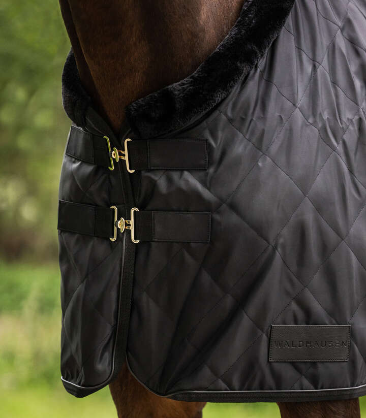 WALDHAUSEN Transportdecke Exclusive 50 g